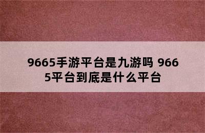 9665手游平台是九游吗 9665平台到底是什么平台